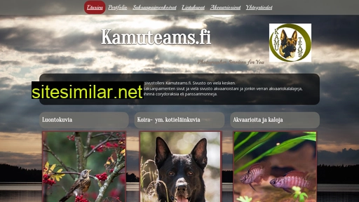 kamuteams.fi alternative sites