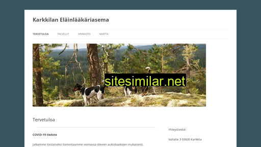 karkkilanelainlaakariasema.fi alternative sites