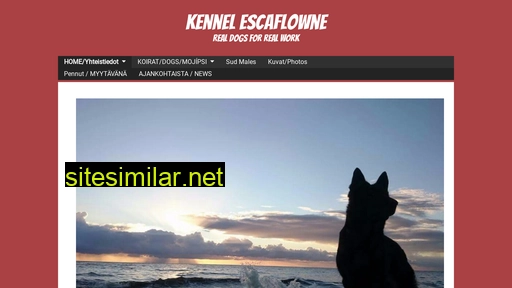 kennelescaflowne.fi alternative sites