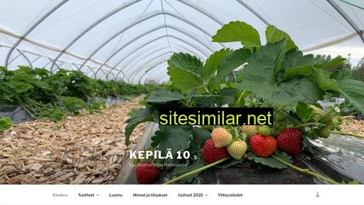 Kepila10 similar sites