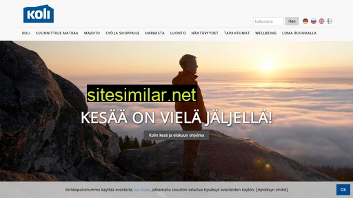 koli.fi alternative sites