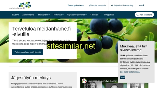 meidanhame.fi alternative sites