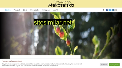 mekaselska.fi alternative sites