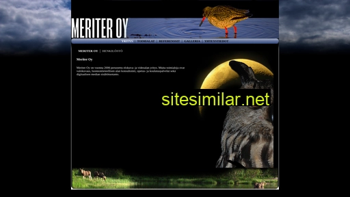 meriter.fi alternative sites