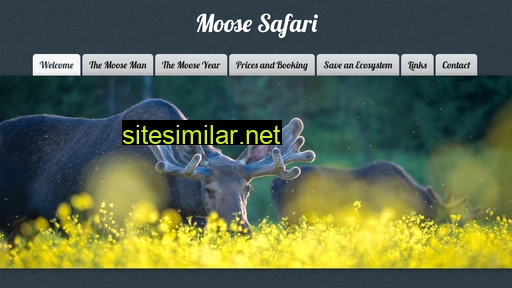 moosesafari.fi alternative sites