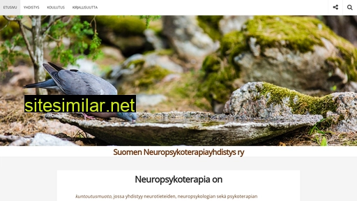 neuropsykoterapia.fi alternative sites