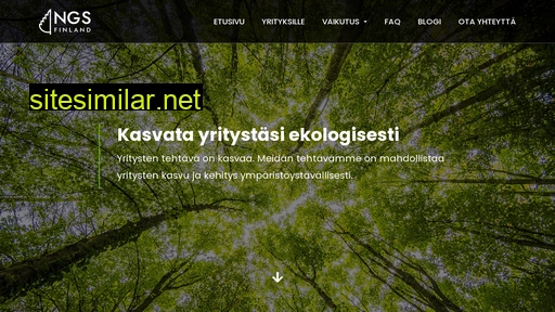 ngsfinland.fi alternative sites