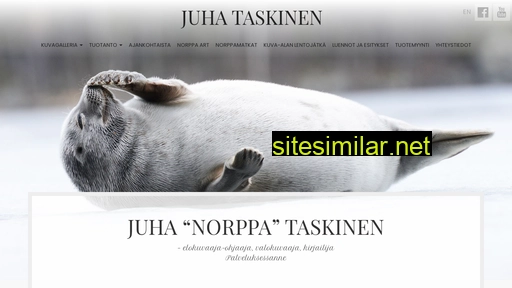norppataskinen.fi alternative sites