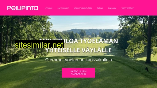 peilipinta.fi alternative sites