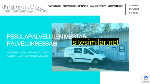 pesulappee.fi alternative sites