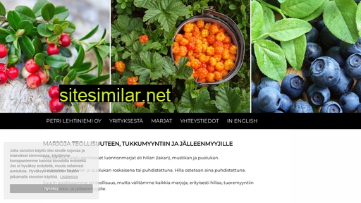 petrilehtiniemi.fi alternative sites