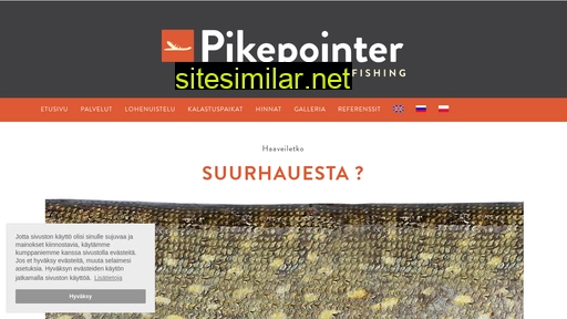 pikepointer.fi alternative sites