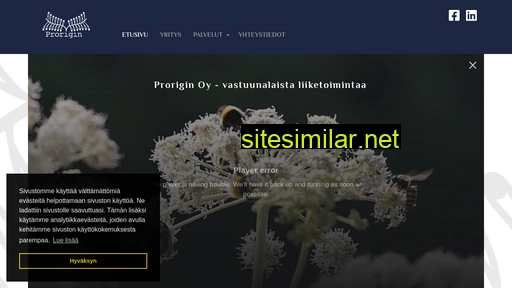 prorigin.fi alternative sites