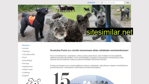 pumit.fi alternative sites
