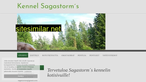 sagastorms.fi alternative sites