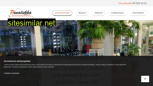 salonpunatukka.fi alternative sites