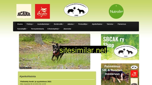 sbcak.fi alternative sites