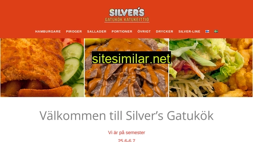 silvers.fi alternative sites