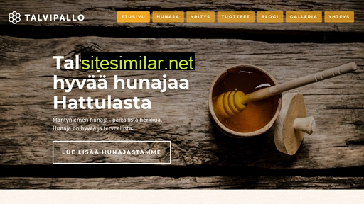 talvipallo.fi alternative sites
