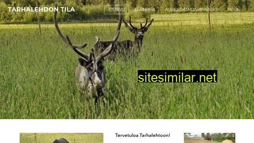 tarhalehto.fi alternative sites
