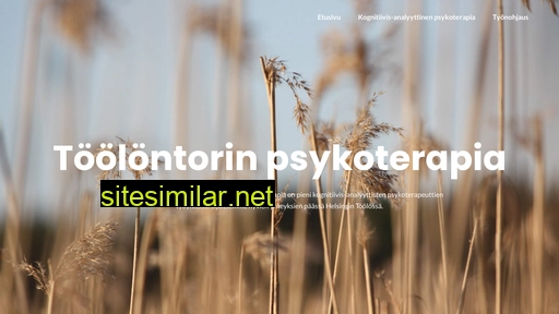 toolontorinpsykoterapia.fi alternative sites