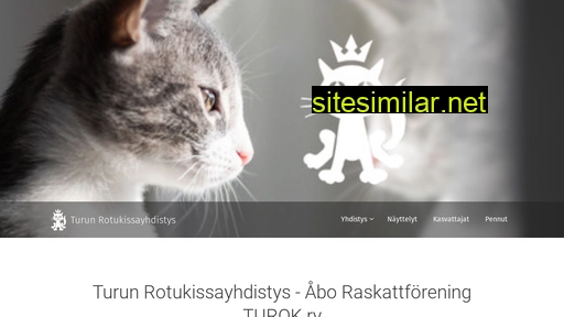 turok.fi alternative sites