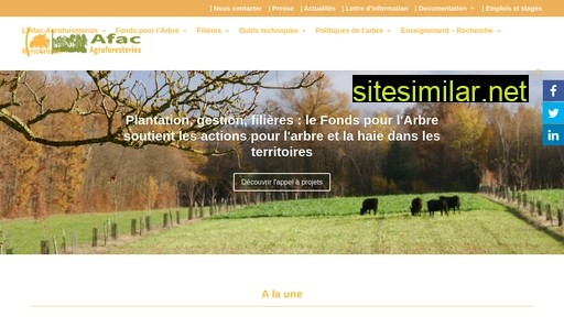 Afac-agroforesteries similar sites