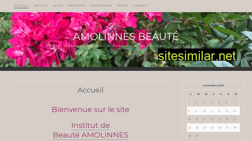 amolinnes.fr alternative sites