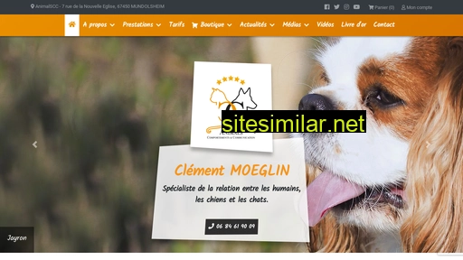 animalscc.fr alternative sites