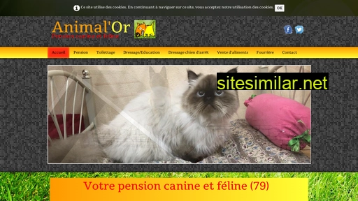 animal-or.fr alternative sites