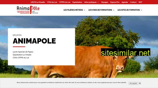animapole.fr alternative sites