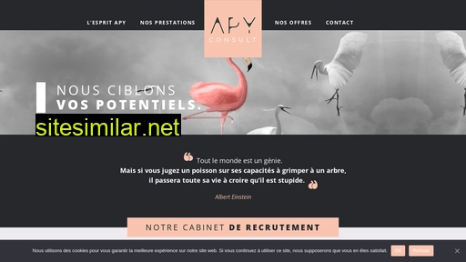 apy-consult.fr alternative sites