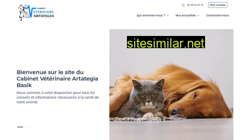artategiabasik.fr alternative sites