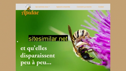association-apidae.fr alternative sites