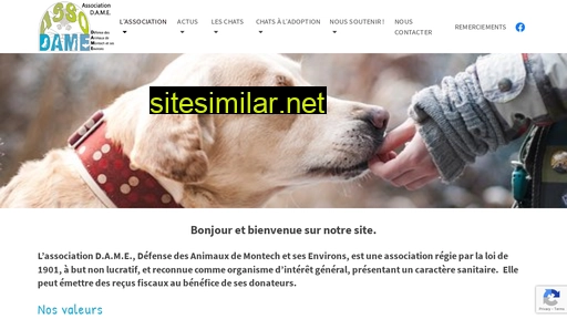 association-dame.fr alternative sites