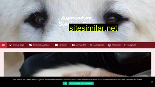 association-sixieme-sens.fr alternative sites