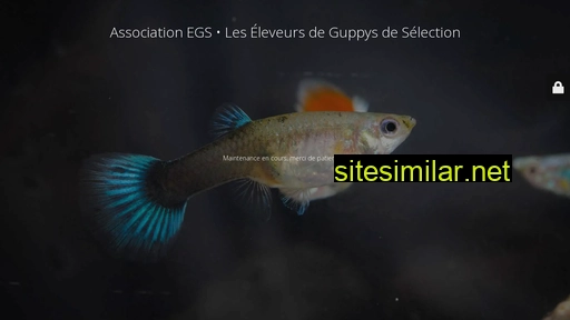 asso-egs.fr alternative sites