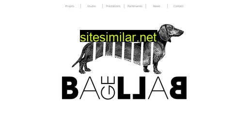 bagellab.fr alternative sites