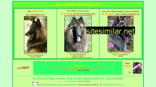 Belges-and-coon similar sites