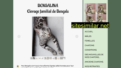 bengalina.fr alternative sites