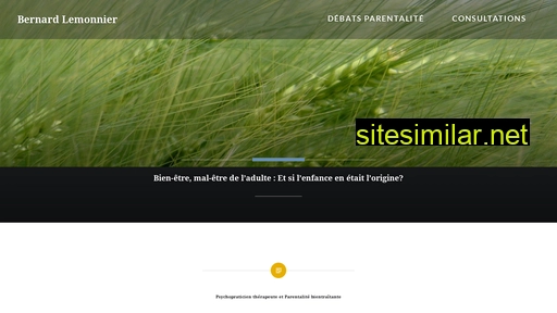 bernardlemonnier.fr alternative sites