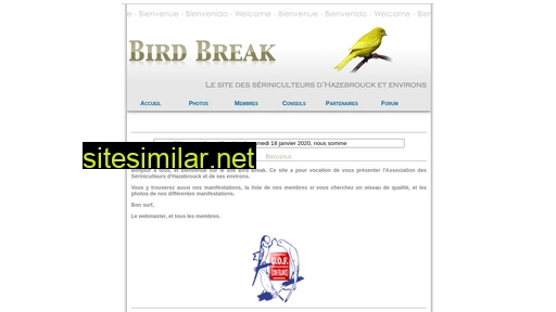Birdbreak similar sites