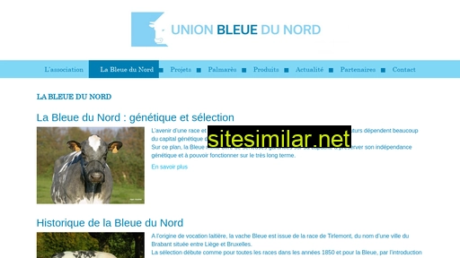 bleuedunord.fr alternative sites
