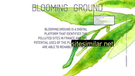 bloomingground.fr alternative sites