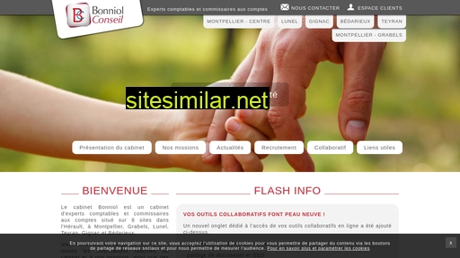 bonniolconseil.fr alternative sites