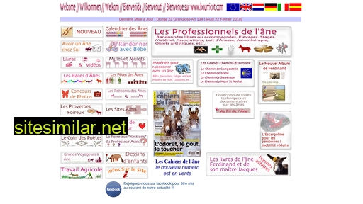bourricot.fr alternative sites