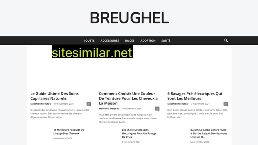 breughel.fr alternative sites