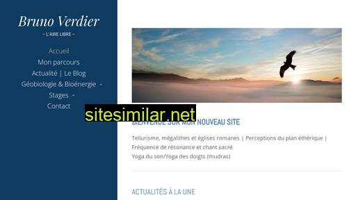 brunoverdier.fr alternative sites