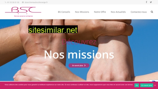 bsconseils.fr alternative sites