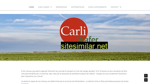 carliwafer.fr alternative sites